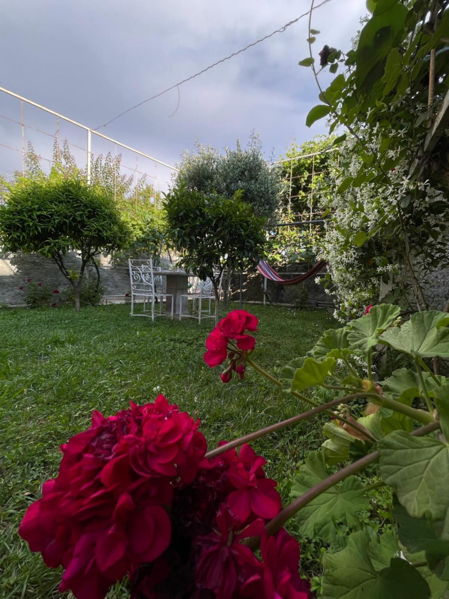 Vila Nela Shkoder Exterior photo